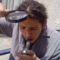 Alexander Rivera Photo 6