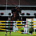 Steve Navarette Photo 18