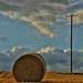 Kent Hay Photo 13