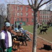 Julie Nunziato Photo 5