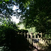 Bradley Gates Photo 30