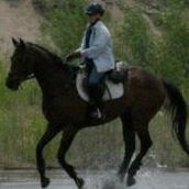 Anne Fogarty Photo 2