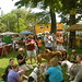 Leslie Grove Photo 28