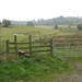 Dale Lane Photo 41