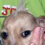 Cynthia Maddox Photo 25