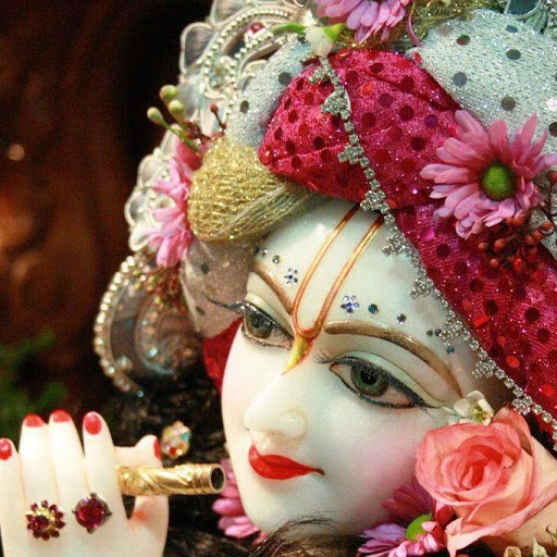 Geetika Sharma Photo 13