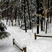 Bruce Winters Photo 39