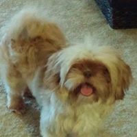 Connie Spradlin Photo 3