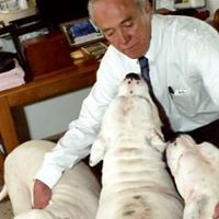 Roy Mcdade Photo 1