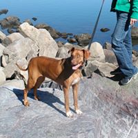 Lori Bartz Photo 5