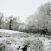 Edward Hedges Photo 23