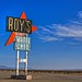 Roy Stock Photo 18