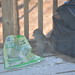 Larry January Photo 20
