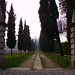 Maria Cipressi Photo 8