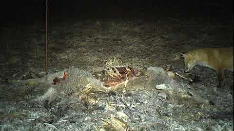 Larry Burdick Photo 6