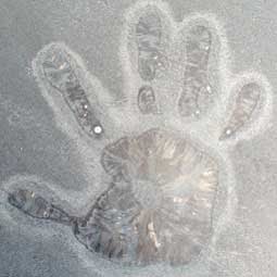 Christopher Mccracken Photo 12