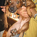 Alice Grossi Photo 23