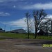 Joan Loomis Photo 24