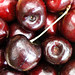 Gail Cherry Photo 28