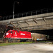 Chris Guss Photo 20