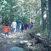 Franklin Wood Photo 37