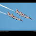 Edward Mosher Photo 30
