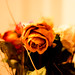 Stephanie Xavier Photo 33