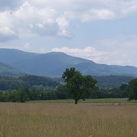 Sherry Floyd Photo 7
