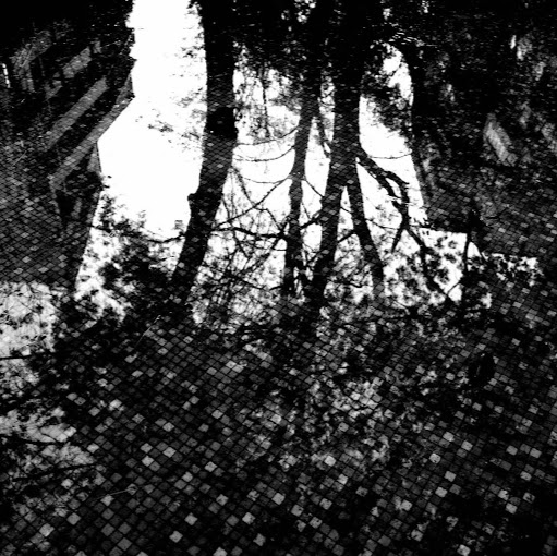 Joel Eckert Photo 10