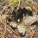 Perry Beck Photo 19