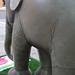 Richard Symonds Photo 31