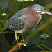 Sandra Heron Photo 22