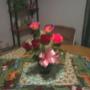 Clara Warren Photo 20