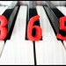 Paul Chenoweth Photo 25