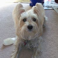 Tina Giese Photo 4