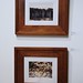 Brian Nieman Photo 26