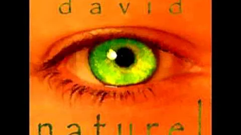 David Lor Photo 21