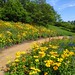 Theodore Field Photo 9