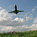 Ronald Land Photo 25