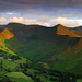Dawn Newland Photo 28