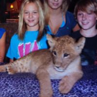 Steven Grover Photo 4