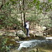 Carolyn Cross Photo 36