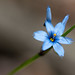Steven Landrum Photo 33