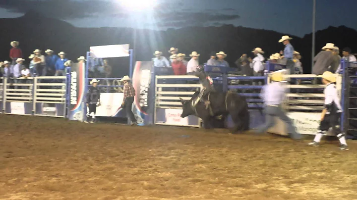 Matt Birdwell Photo 9