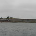 Adam Fort Photo 25
