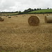 Devon Clarke Photo 38