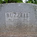 John Buzzell Photo 29