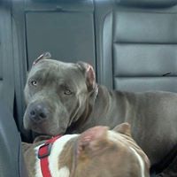 Matt Blessing Photo 1
