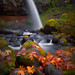 Gary Leaf Photo 16