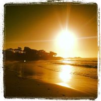 Kelly Comstock Photo 2